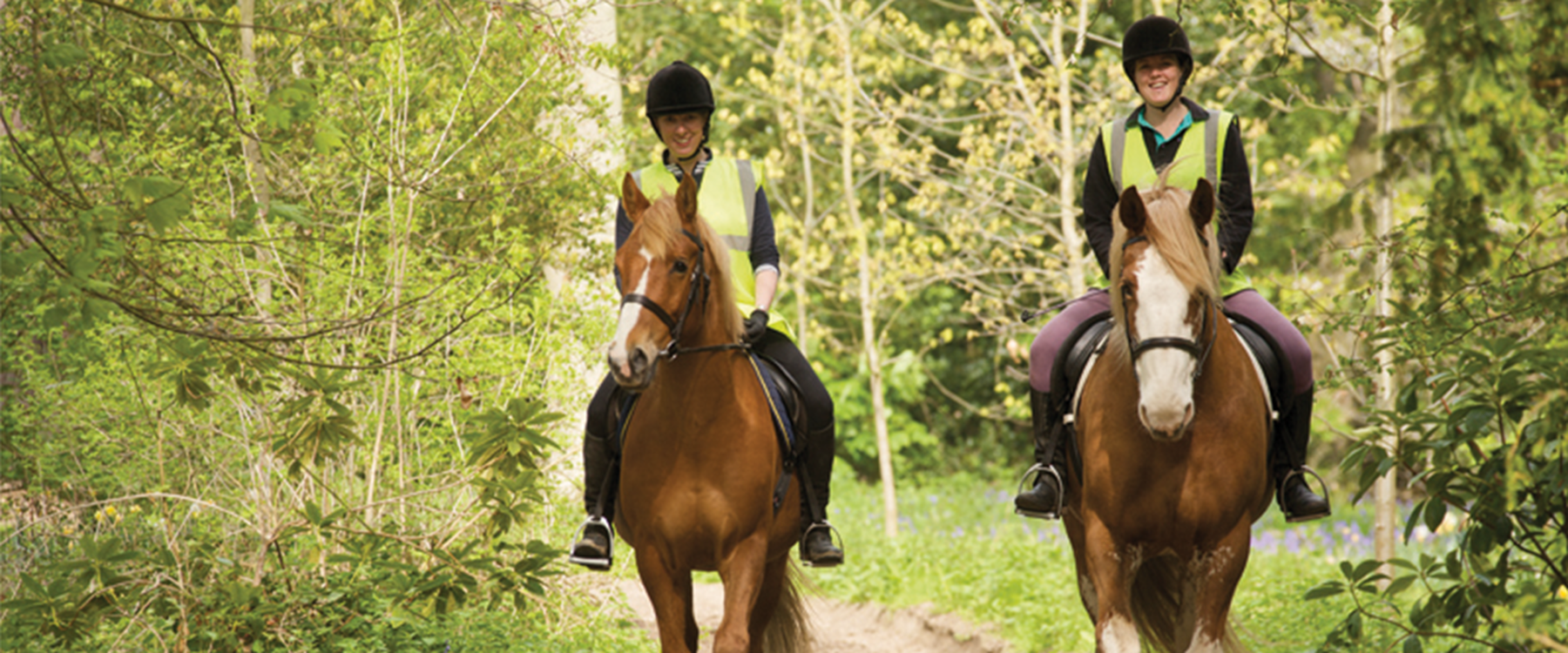 Horse riding off-road – credit The British Horse Society