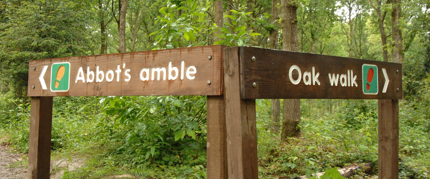 Abbot